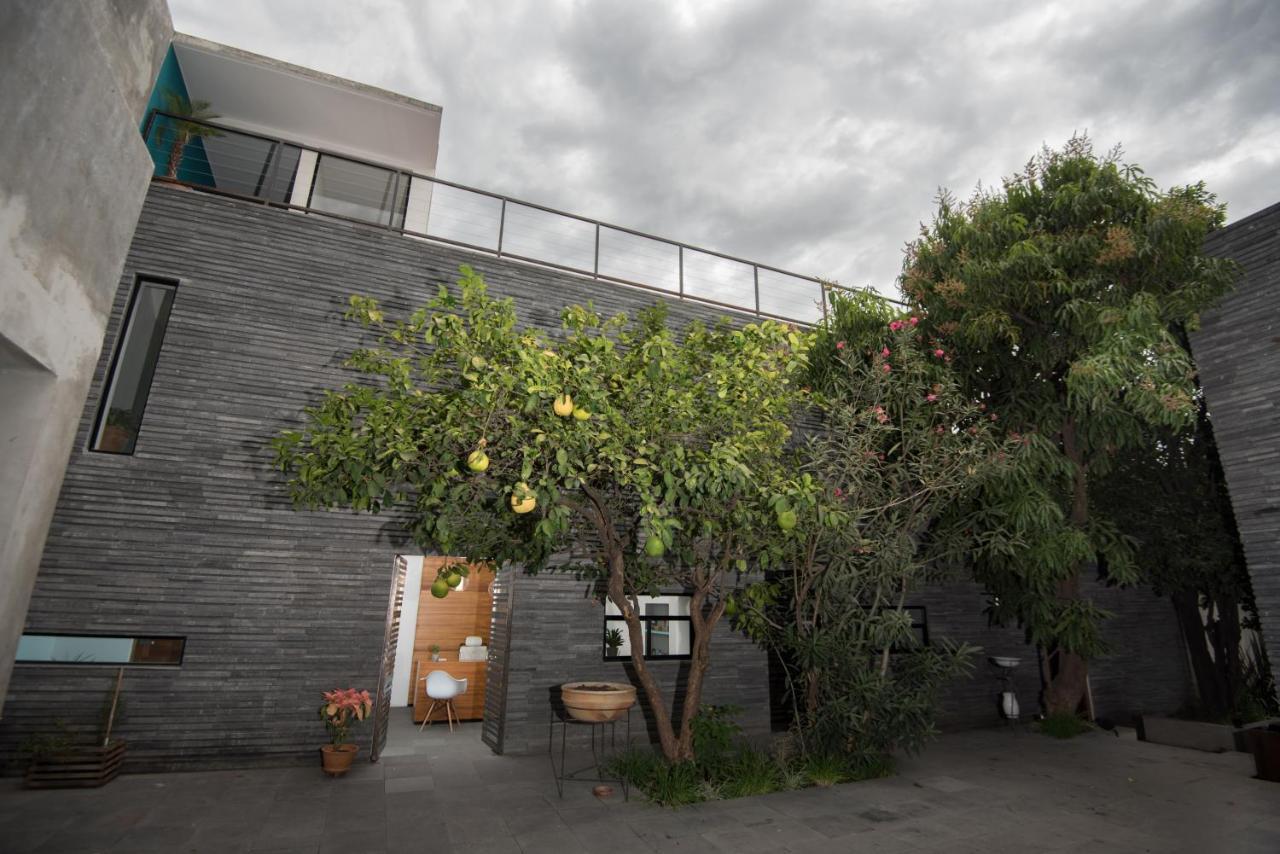 Nardazul "Casa De Suenos" Hotel Oaxaca Exterior photo